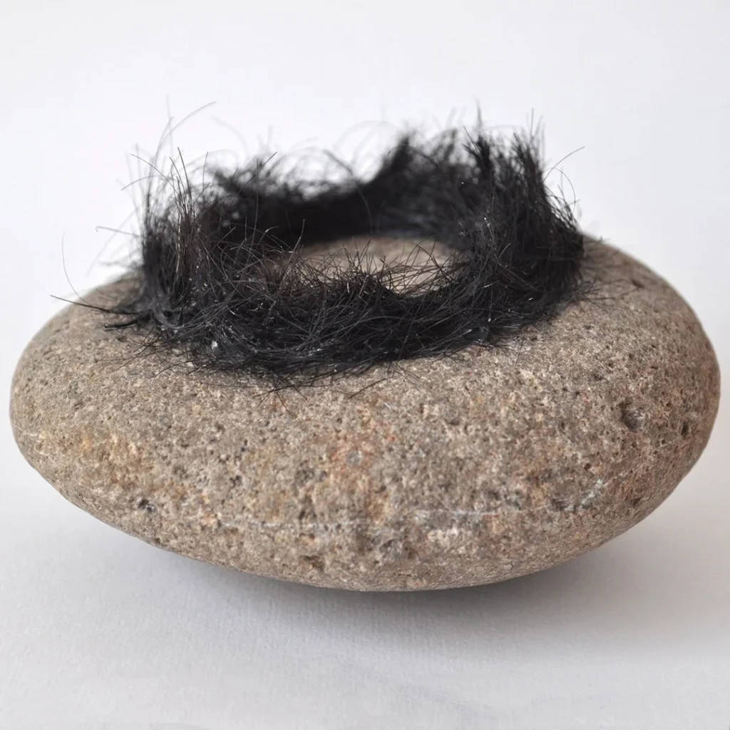 A rock with a single black hair resting on its surface.