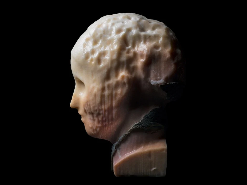 A sculpture depicting a woman's head with a hollowed-out section, emphasizing a unique artistic interpretation.